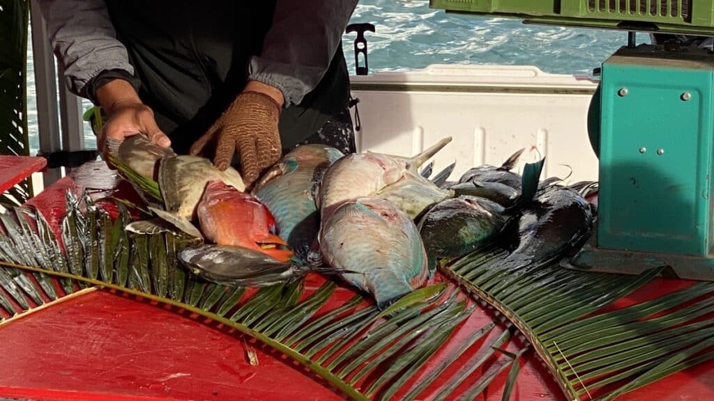 Bora Bora magic tour - Gourmet Odyssey